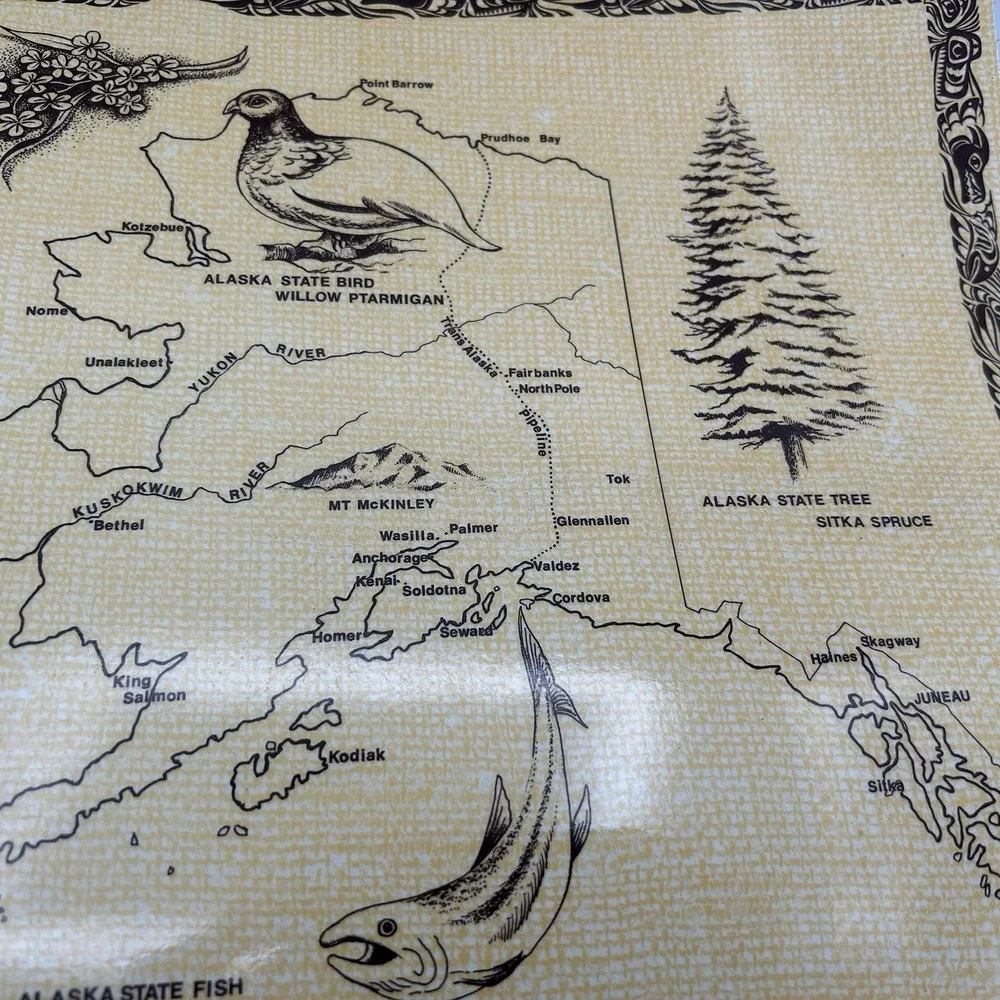 Vintage Alaskan Aerial Placemats Photographer‎ Jim Diane Set Of 2 - 17x12